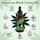 thumbnail image 4 of Jamaican Black Castor 60ml Oil Hair Growth Eyelashes And Eyebrows Black Castor Oil, 4 of 5