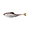 Live Gizzard Shad, variant on 6th Sense – Masterclass Fiction – Shad Soft Plastic Swimbait – Realistic Baitfish Profile – Multiple Bass Fishing Lure