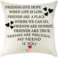 thumbnail image 1 of Friendship Gift Throw Pillow Cover Best Friend to my Sister Gift Pillow Cases Inspirational Gift for Sister Friend Appreciation Gift Birthday Gift, 1 of 6