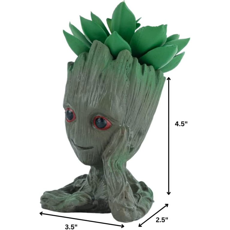fiddle leaf fig lowes Fiddle Leaf Fig