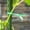 B, variant on Gardening Cable Tie Plastic-Coated Cable Tie Flower and Wood Cable Tie 20/50/10M