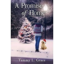 A Promise of Home: A Hometown Harbor Novel, (Paperback)