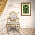 thumbnail image 3 of Jones, Adam 13x18 Gold Ornate Wood Framed with Double Matting Museum Art Print Titled - Lupine leaves and raindrops-Olympic National Park-Washington State, 3 of 4