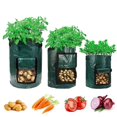 thumbnail image 4 of Bolsa para Cultivo de Vegetales Jadeshay PE, 4 of 10