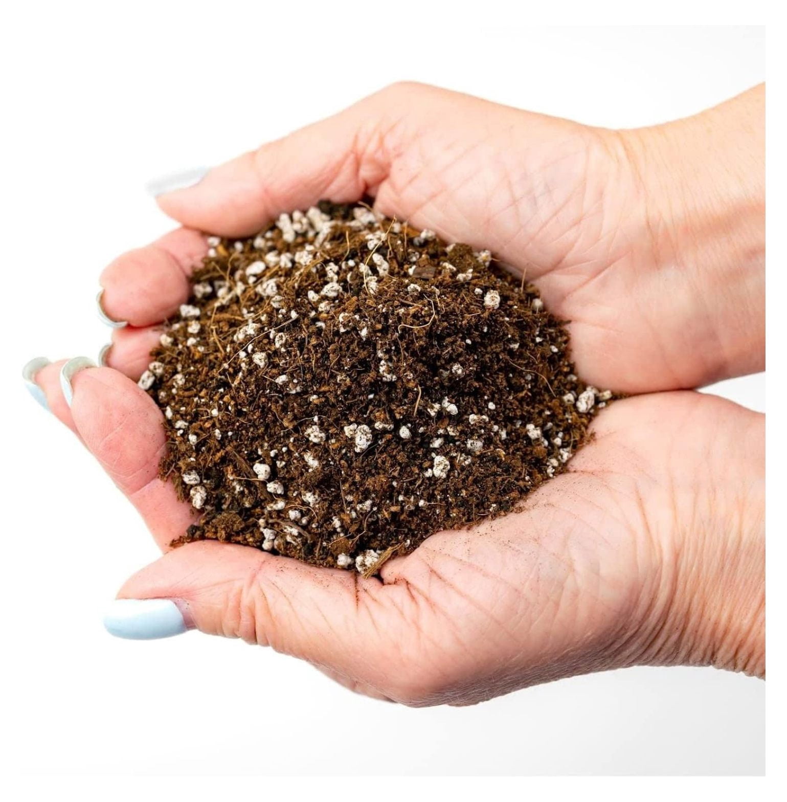 Premium Organic Potting Soil - 5 Quart - The Ideal Growing Medium for Delicious and Nutritious Homegrown Potatoes