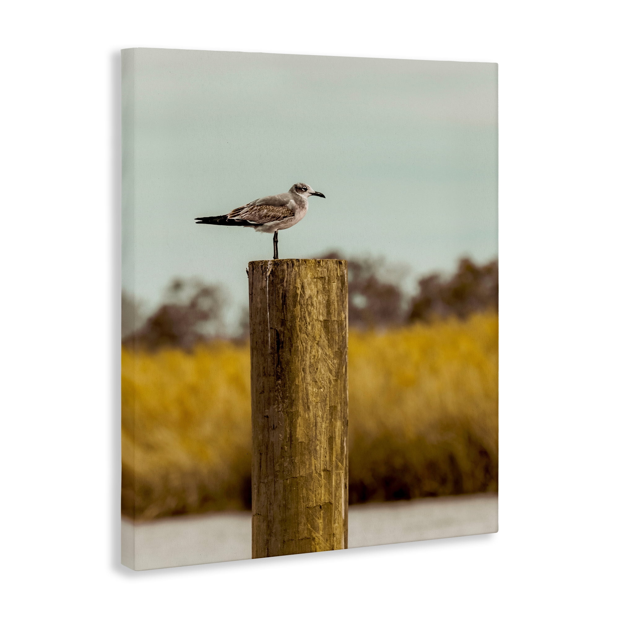 Stupell Industries Gull On Piling Canvas Wall Art, design by Christy Berry
