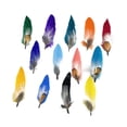 thumbnail image 4 of Plumas de sombrero Perfecl para sombreros Fedora y vaquero Cantidad 13, 4 of 8