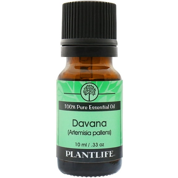 Plantlife Davana Aromatherapy Essential Oil - Straight From The Plant 100% Pure Therapeutic Grade - No Additives or Fillers - 10 ml