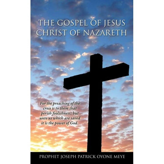 An Amazing Story of Jesus' Life, (Hardcover)