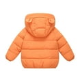thumbnail image 3 of 1-6T Toddler Baby Girls Boys Winter Cartoon Coat Hooded Warm Outwear Kids Infant Jackets, 3 of 6