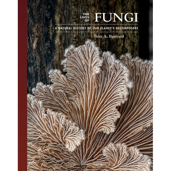 Lives of the Natural World The Lives of Fungi: A Natural History of Our Planet's Decomposers, Book 2, (Hardcover)