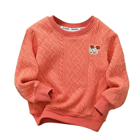 

Chenyuanyuan Baby Knit Sweaters Toddler Child Kids Boys Girls Cute Cartoon Knitted Thick Sweater Pullover Blouse Tops Outfits Clothes Size 6-7 Years