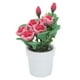 thumbnail image 2 of Dollhouse Bouquets, Beautiful Attractive Vivid Lifelike 1:12 Small Mini Potted Plant For Gift For Dollhouse Decoration ANGGREK Juguetes, 2 of 7