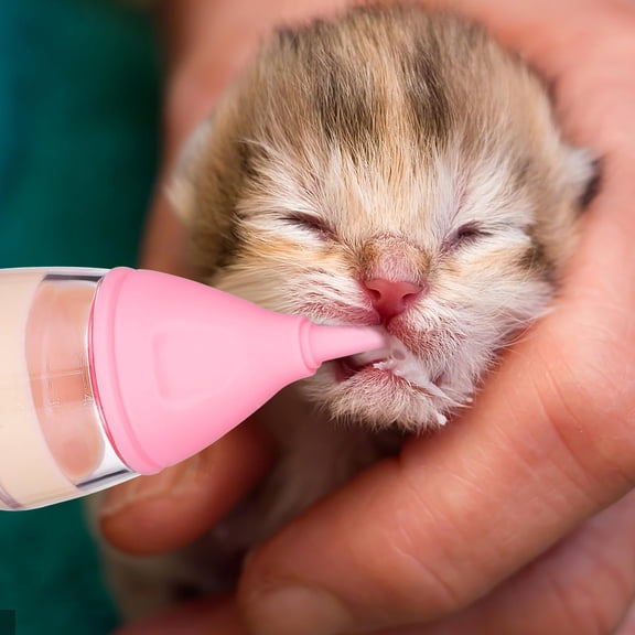 BESTYASH Pet Care Kit for Puppies and Kittens with Replaceable Cleaning Brush and Safe Feeder for Easy