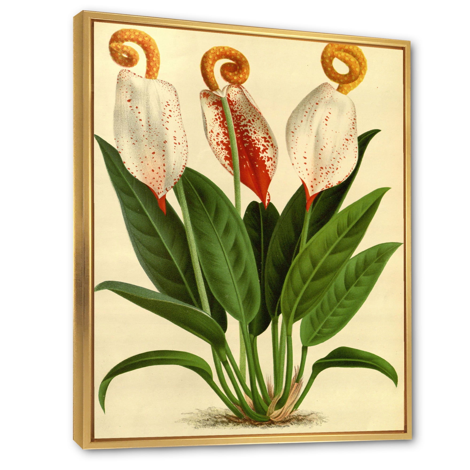 Designart 'Retro Wildflowers' Farmhouse Framed Canvas Wall Art Print