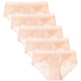 thumbnail image 1 of Puntoco Womens Panties Clearance Ladies Transparent Lace Panties Cotton Hollow Breathable Quality Underpants Khaki XXL(XXL), 1 of 5