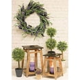 thumbnail image 2 of Boston International MGC19117 7 Dia. x 16.5 in. Rosemary Topiary Home Accent, 2 of 4