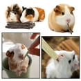 thumbnail image 3 of Rabbit Toys, Hamster Small Animals Treats, 3 of 5