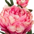 thumbnail image 2 of Vickerman 24" Artificial Pink Peony Stem, Set of 3, 2 of 8
