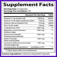 thumbnail image 5 of Sambucus Black Elderberry with Zinc and Vitamin C for Adults, Immune Support with Echinacea, Turmeric, Garlic, Vitamin E, B6, Probiotics and L-Glutamine, 5 of 6