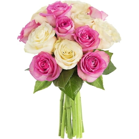 Kabloom Bouquet of 6 Pink Roses, 6 White Roses Next-Day Delivery, Gift for Every Occasion