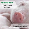 Swine Stall Deodorizer Odor Eliminator 100 Natural Odor Neutralizer
