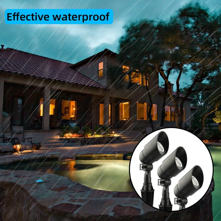 Backyard spotlight online