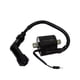 thumbnail image 1 of Bobina Encendido Externa Honda Gl 150 Cargo (14-19) (Wstd) multicolor, 1 of 2