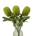 thumbnail image 3 of Hill Interiors Banksia Serrata Artificial Flower, 3 of 4