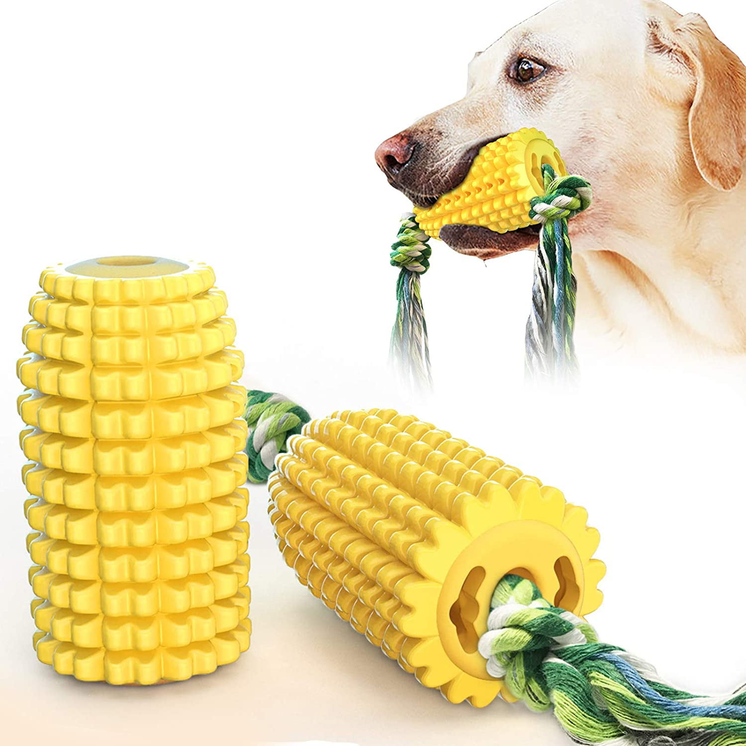 Is Corn Toxic To Dogs
