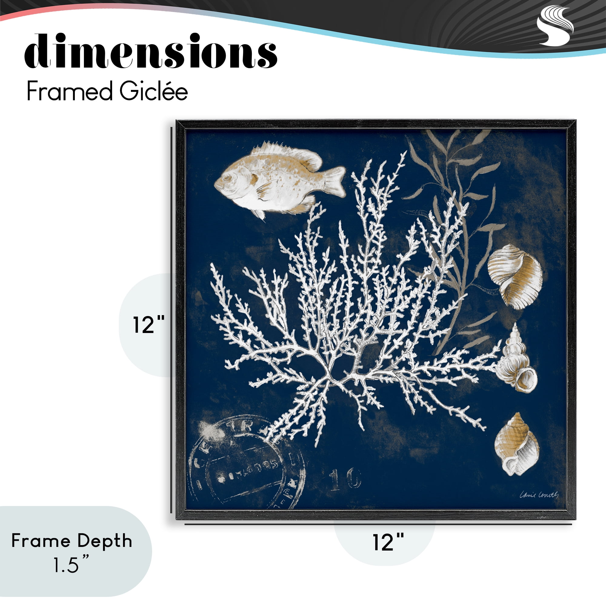 Stupell Industries Coral Medley on Blue Black Framed Giclee Art, design by Lanie Loreth