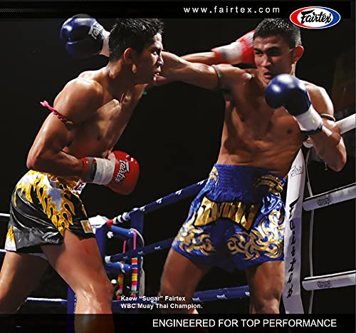 Fairtex BGL6 Pro Leather Laced Competition Gloves Locked Thumb for Muay  Thai and Boxing