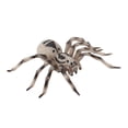 thumbnail image 1 of EGNMCR Spider Black Spider Simulation Insect Solid Model Children Tricky And Scary Tricky Spider Birthday Gifts for Kids, 1 of 1