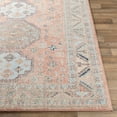 thumbnail image 3 of Livabliss Murat Vintage Border Area Rug,6'7" x 9',Peach, 3 of 7