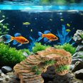 thumbnail image 2 of LLDYYDS Reptile Hides and Caves Rock Reptile Hideout Terrarium Habitat DÃ©cor for Bearded Dragon Lizards Ball Python Snakes One Size, 2 of 5