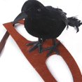 thumbnail image 4 of Pet Tiara With A Crow On Head Realistic Decoration For Halloween, 4 of 4