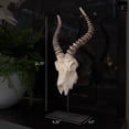 thumbnail image 7 of Ormere Polyresin Goat Head Decor, 7 of 7