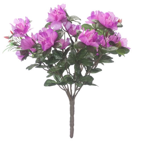 Azalea Bush by OakRidge™Purple