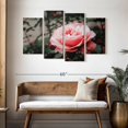 thumbnail image 3 of Elephant Stock Pink Rose Wall Art - Horizontal Multi Panel Canvas - Living Room Wall Decor - Floral And Botanical Multi Panel - Gray And Pink Decor - 52" x 32", 3 of 8