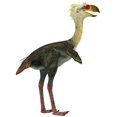 thumbnail image 2 of Phorusrhacos  an extinct genus of flightless predatory birds Poster Print, 2 of 2