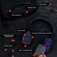 View all media