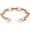 Rose Gold-24cm, variant on Adjustable Urn Bracelet for Ashes for Women Stainless Steel Paperclip Radial Chain Urn Bracelets Keepsake-24 CM