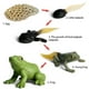 thumbnail image 3 of Modelo de simulación de animales para niños, Mini Animal, gallo, hormiga, Rana, Tortuga, Mosquito, ciclo de crecimiento, muñecos de acción de PVC, juguete para niños, 3 of 7