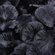 thumbnail image 2 of GOOHOCHY 1000 piezas de pétalos de seda artificiales de imitación, pétalos de rosa, hojas de rosa para bodas y San Valentín (negro), 2 of 8