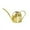 Gold, variant on Darzheoy Stainless Steel Watering Can, Metal Watering Can with Long Spout Plant Watering Can for Outdoor and Indoor Plants (1L)