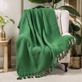 thumbnail image 3 of Home Soft Things Basket Weave Throw Blanket with Braided Tassels, Reversible Lightweight Super Soft Cozy Throw Blanket, 50x60 inches, Green, 3 of 9