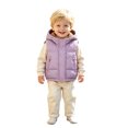 thumbnail image 3 of Toddler Kids Hooded Puffer Vest, Boys Girls Lined Sleeveless Jacket, Warm Zip Up Padded Waistcoat with Pockets for Fall Winter Outerwear(Purple,3-4 Years), 3 of 7