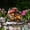B, variant on Flower Pot Standing Card Garden Wooden Stake Family Courtyard Garden Decorative Ground Plug Of The Day Gifts For Womem/Men