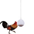thumbnail image 5 of Hanging Foraging Ball Chicken Foraging Toy Plastic Pet Feeding Ball for Bird Hens, 5 of 5
