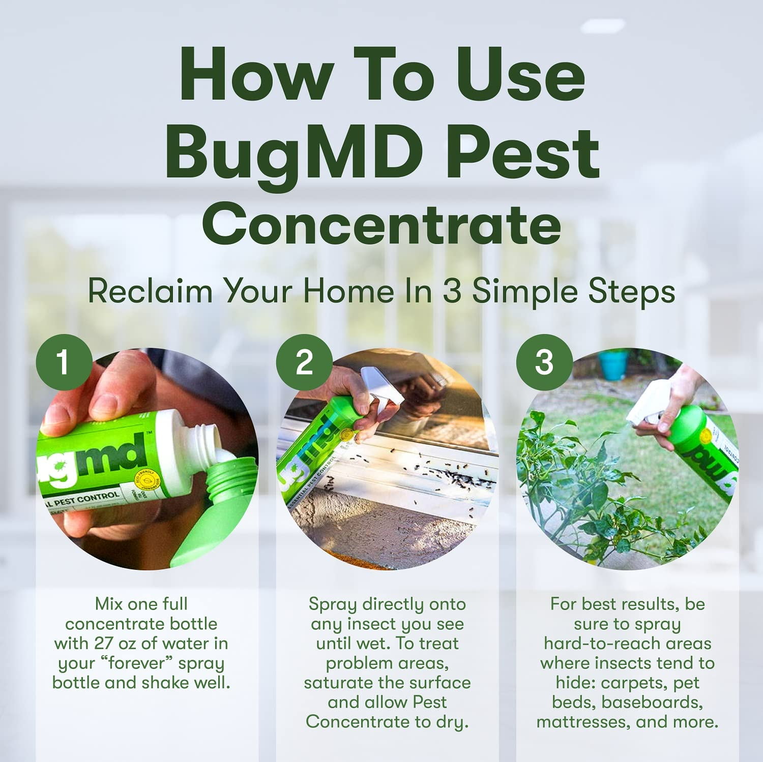 Buy BugMD Termination Station Trap Combination of Light, Heat and Glue Pests, Bugs, Ticks